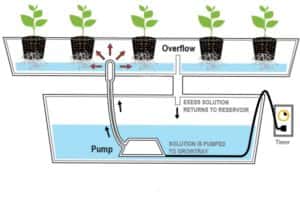 coltivazione Idroponica sistemi attivi