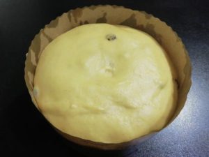 come si prepara il panettone in casa