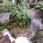 cascata naturale