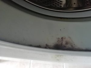 pulire guarnizione lavatrice